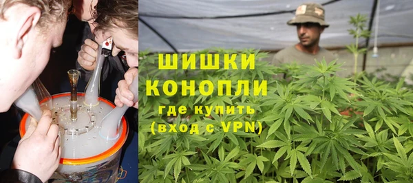 ГАЛЛЮЦИНОГЕННЫЕ ГРИБЫ Белокуриха