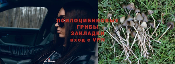 ГАЛЛЮЦИНОГЕННЫЕ ГРИБЫ Белокуриха