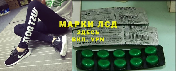 ГАЛЛЮЦИНОГЕННЫЕ ГРИБЫ Белокуриха