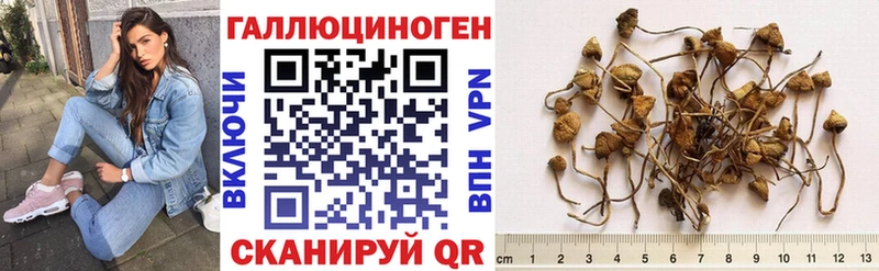 где купить наркоту  Юхнов  площадка клад  Галлюциногенные грибы мухоморы 
